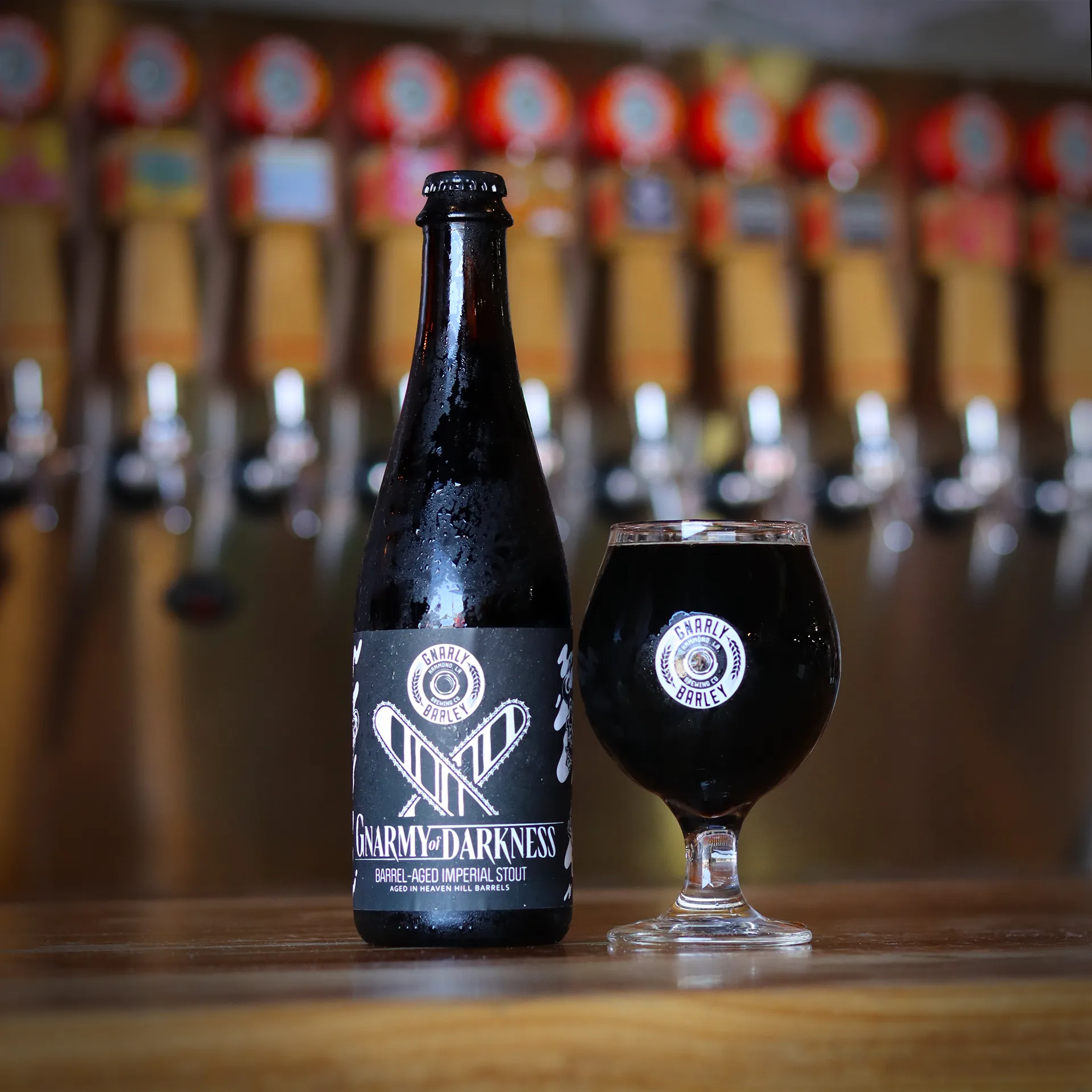 Gnarmy of Darkness - Barrel-Aged Imperial Stout | Gnarly Barly